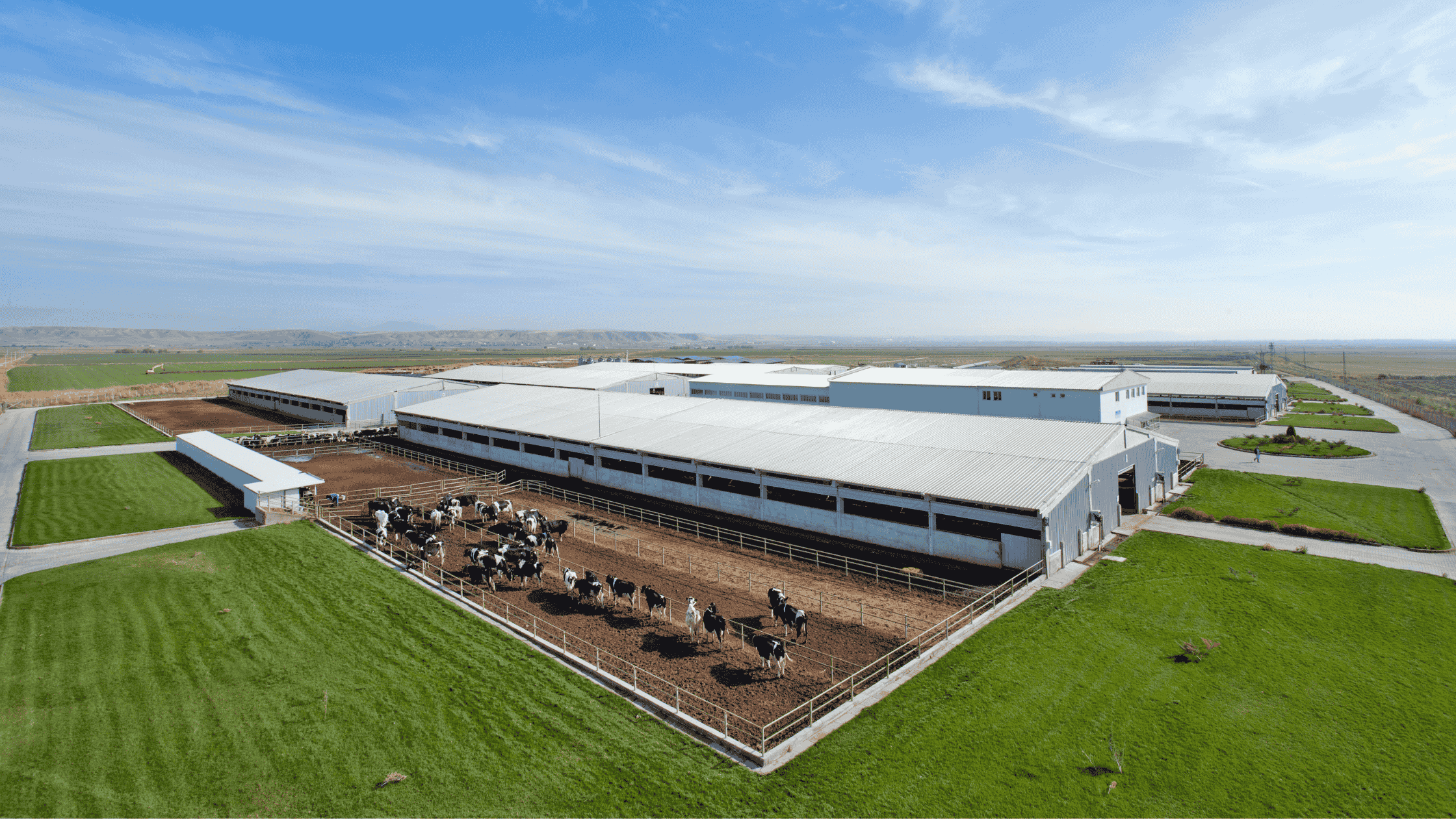 Aerial view of a large livestock farm with durable shelters, cattle enclosures, and surrounding green fields.